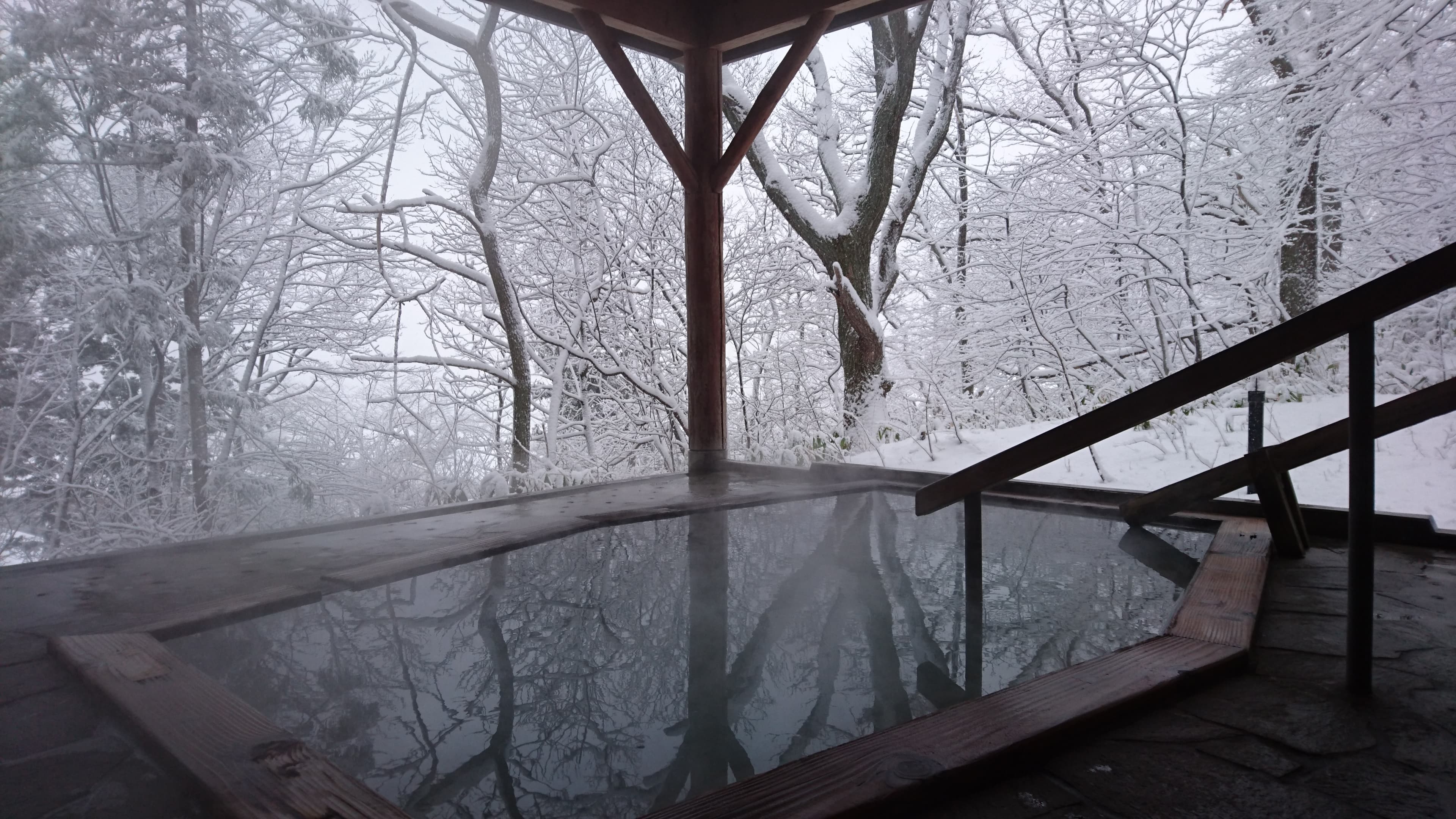 Open-air hot spring bath at Yusaya Ryokan surrounded by snow-frosted trees in winter, Naruko Onsen