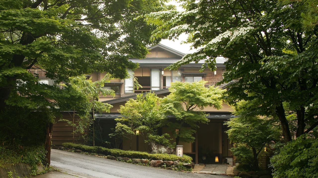 Inn entrance approach surrounded by lush green trees