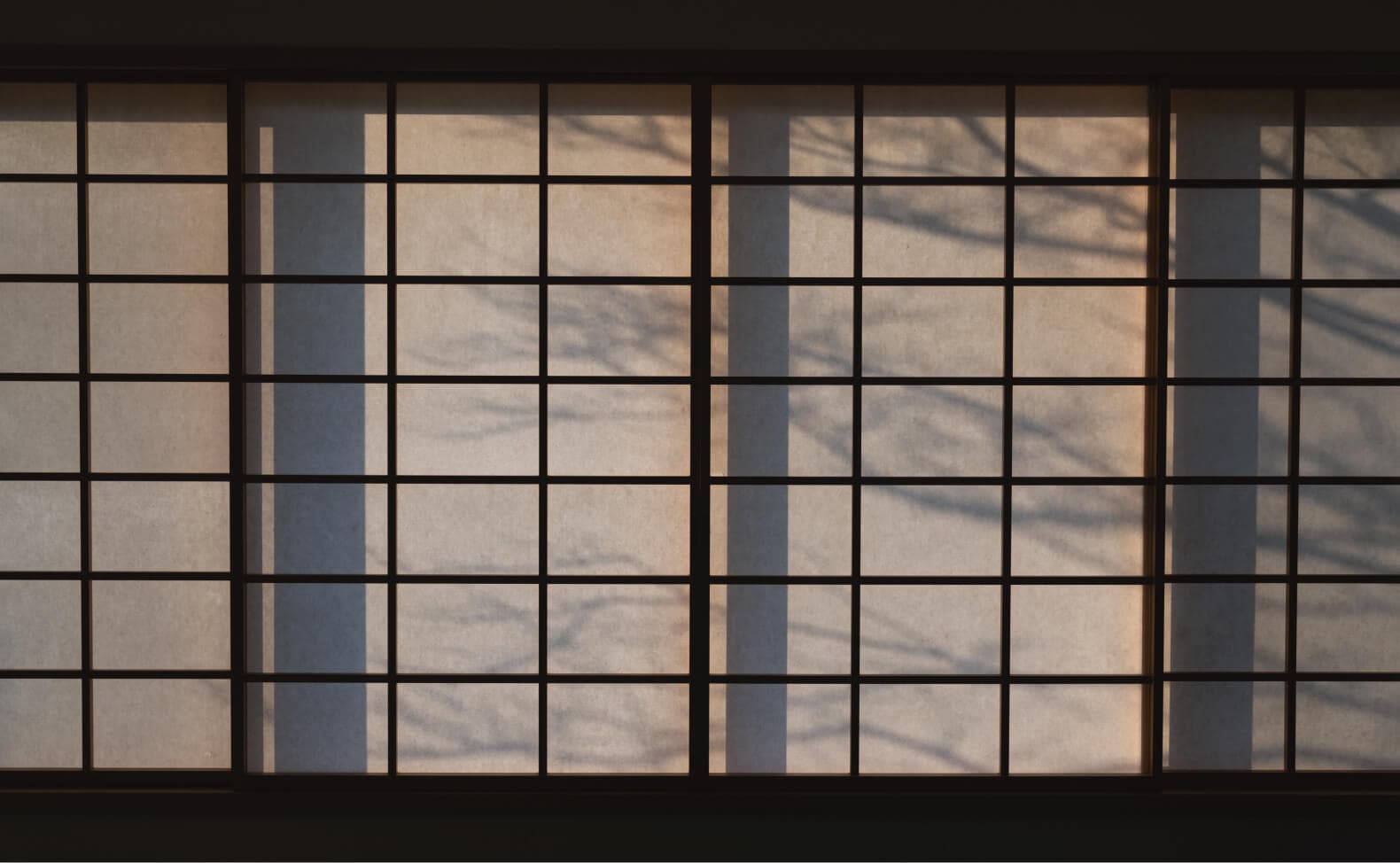 Shoji paper sliding screens lit by warm afternoon sun casting tree-branch shadows at Takayamaso Hanano, Arima Onsen