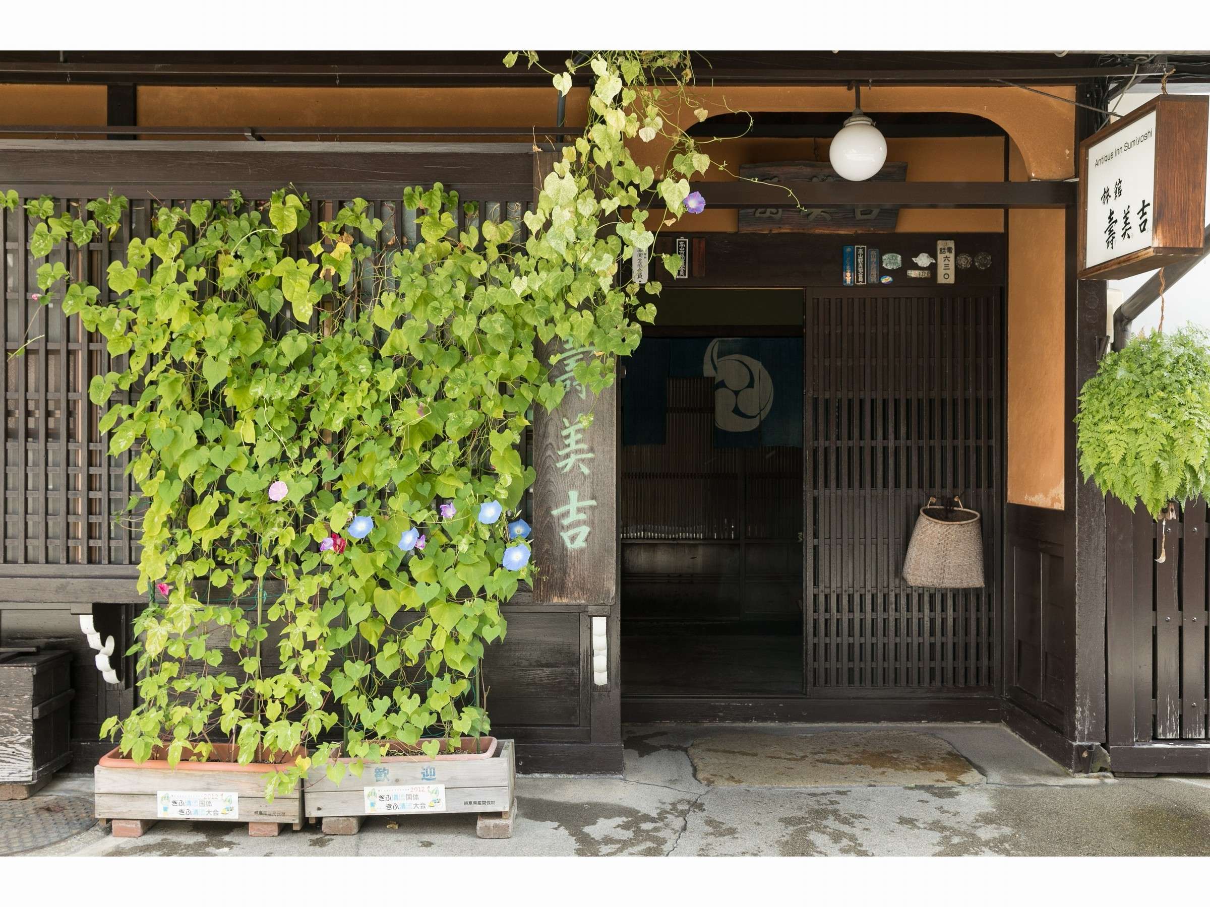 Sumiyoshi Ryokan's wooden machiya facade with morning-glory vines and lattice doors in Takayama's old town, Hida