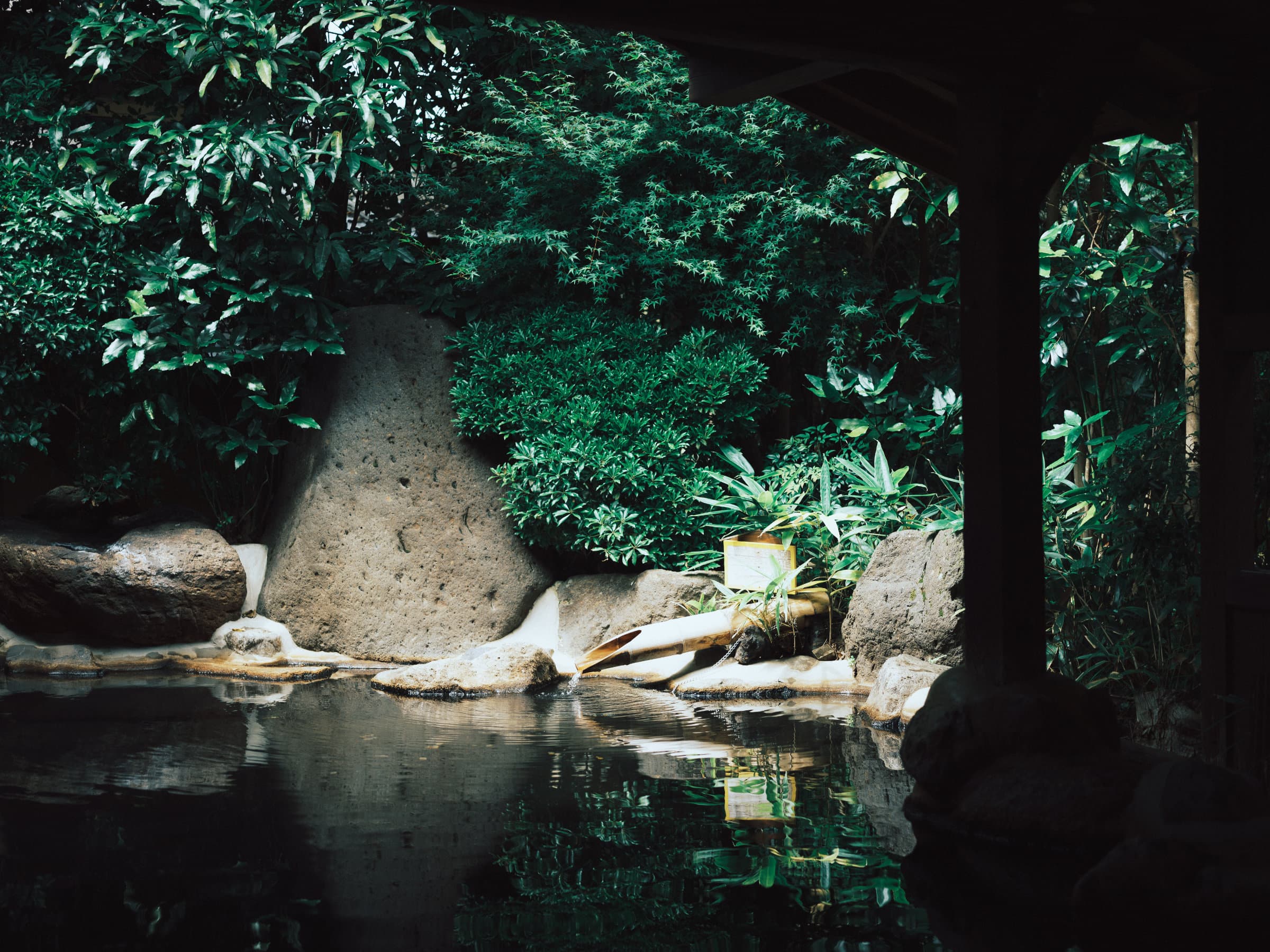 Yumerindo open-air bath garden detail with rocks, ferns and reflective water among foliage