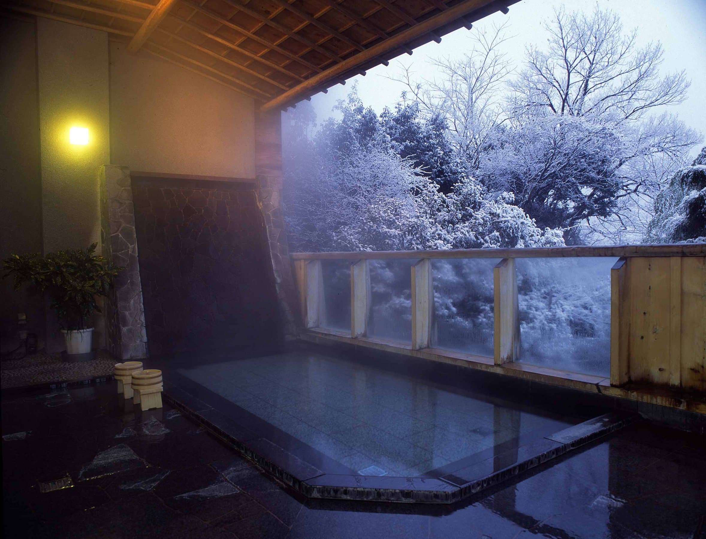 Steaming open-air stone rotenburo overlooking a snow-dusted winter garden, Yamagataya, Gero Onsen