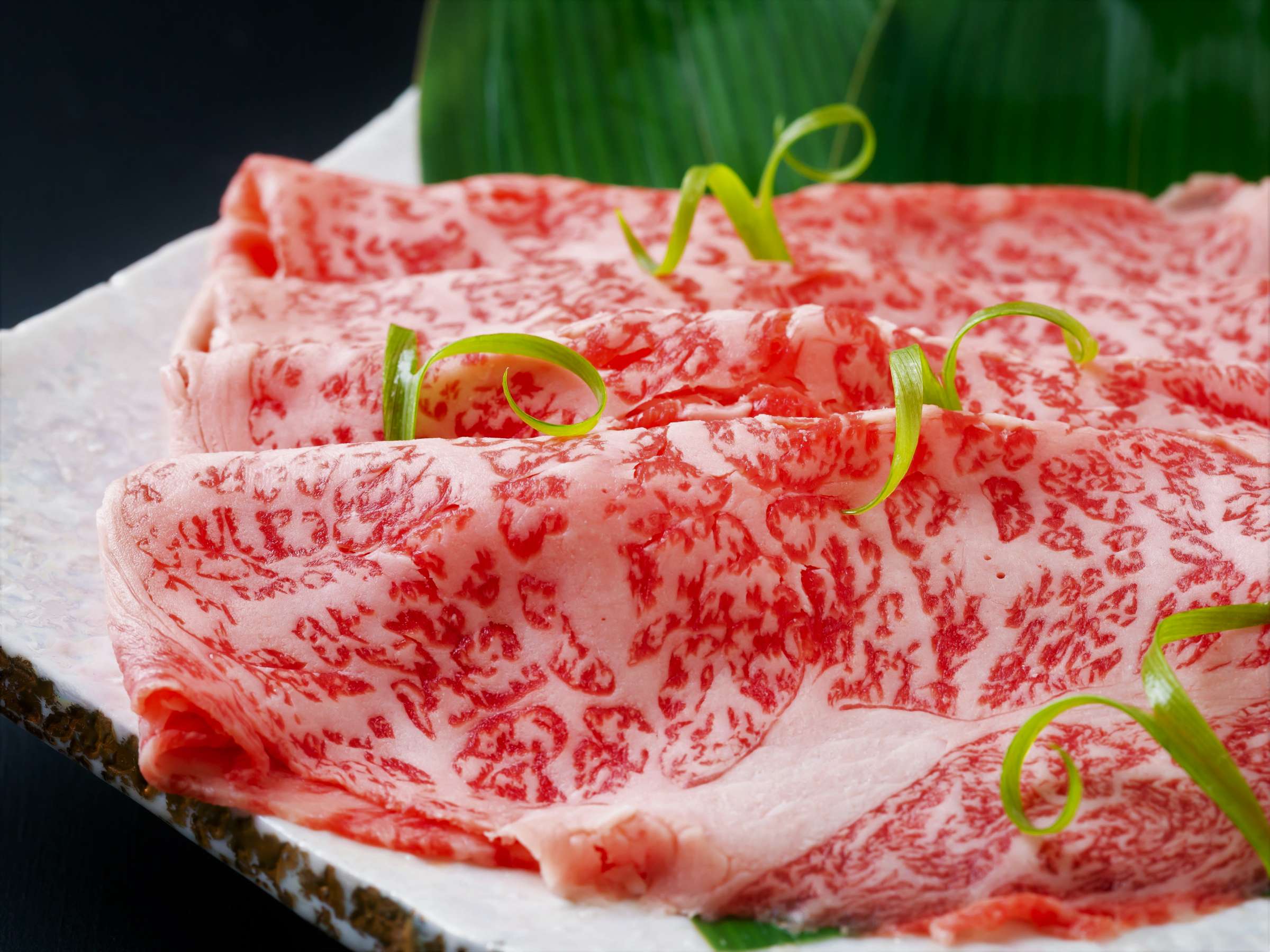 Close-up of richly marbled wagyu beef slices garnished with scallion on a ceramic plate, Kappo Ryokan Kannawa Bettei, Beppu Onsen