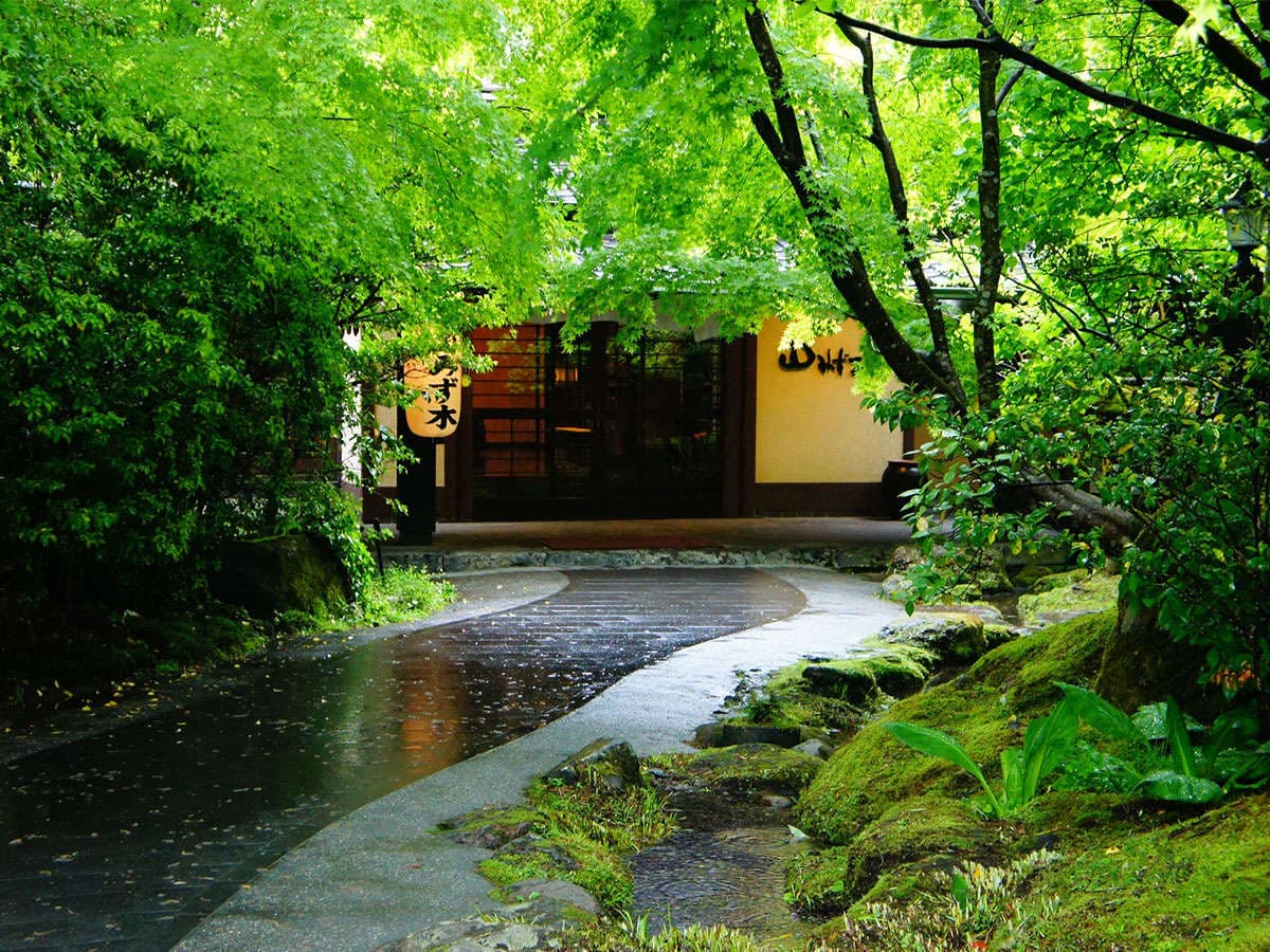 山みず木 玄関 新緑の季節