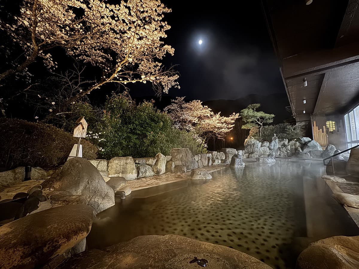 Steaming open-air rotenburo framed by moonlit cherry blossoms and stone bank, Bosenkan, Gero Onsen