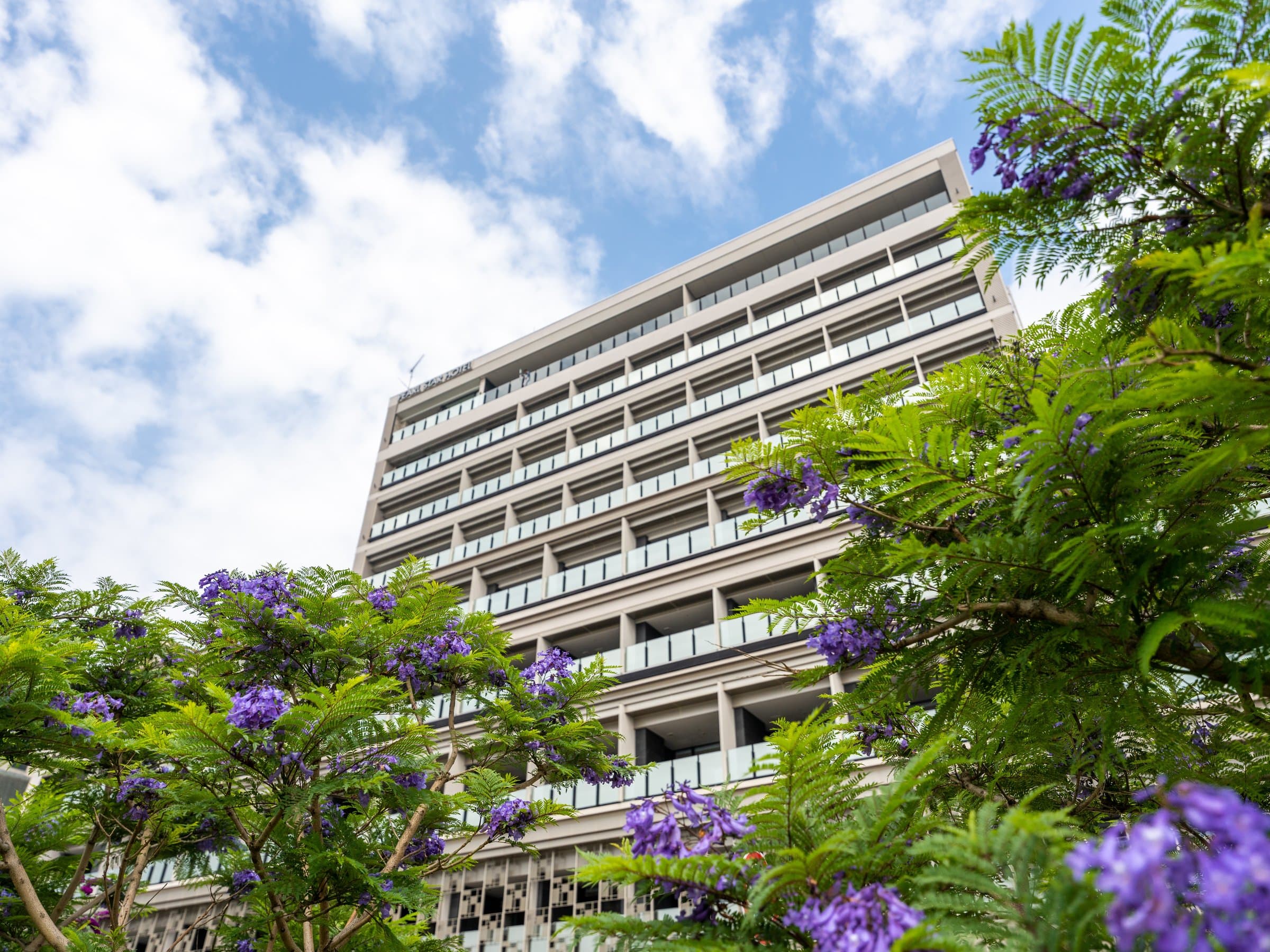 Daytime exterior of Pearl Star Hotel Atami framed by blooming jacaranda trees under blue sky