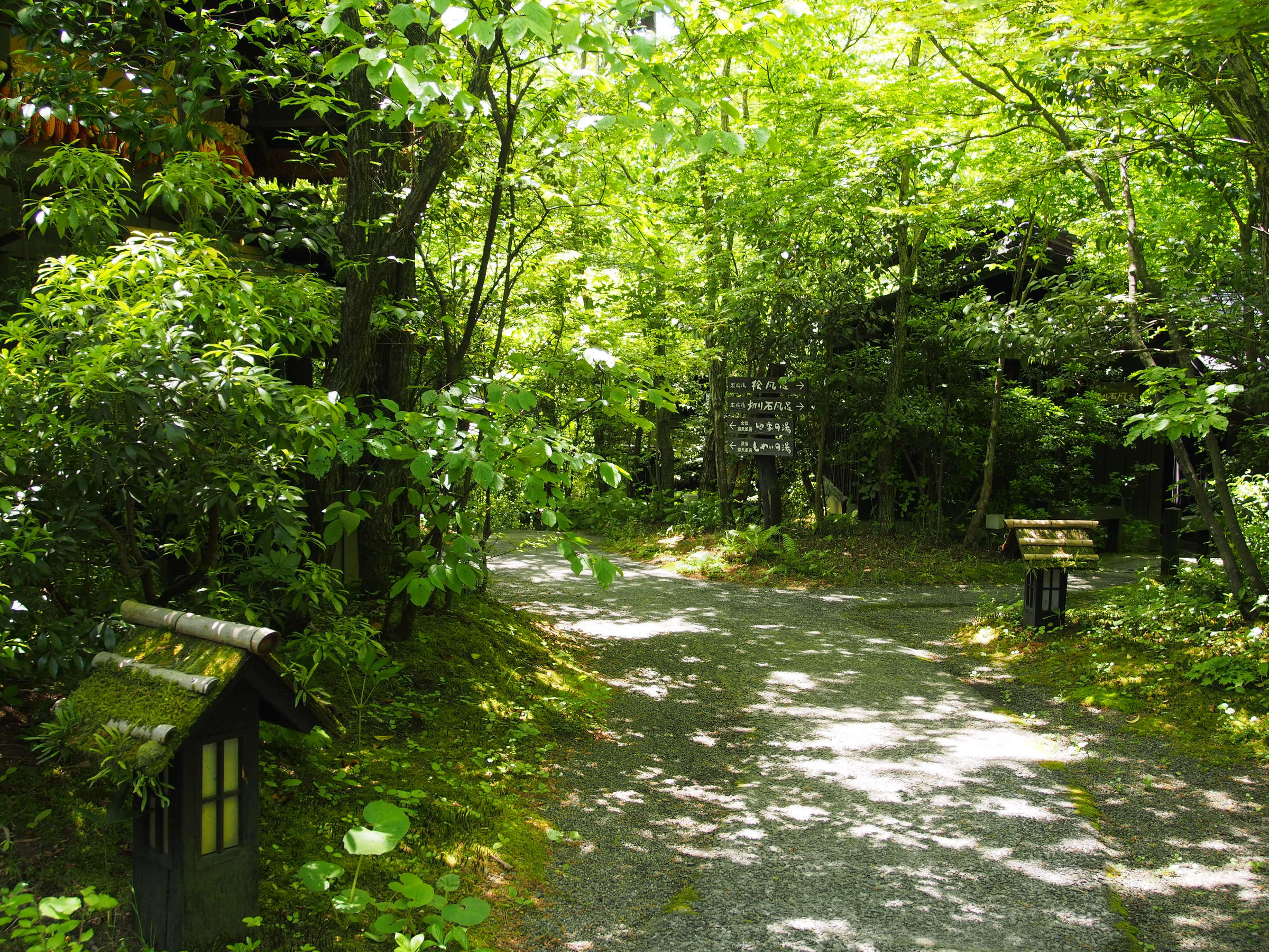 旅館 山河 春の庭