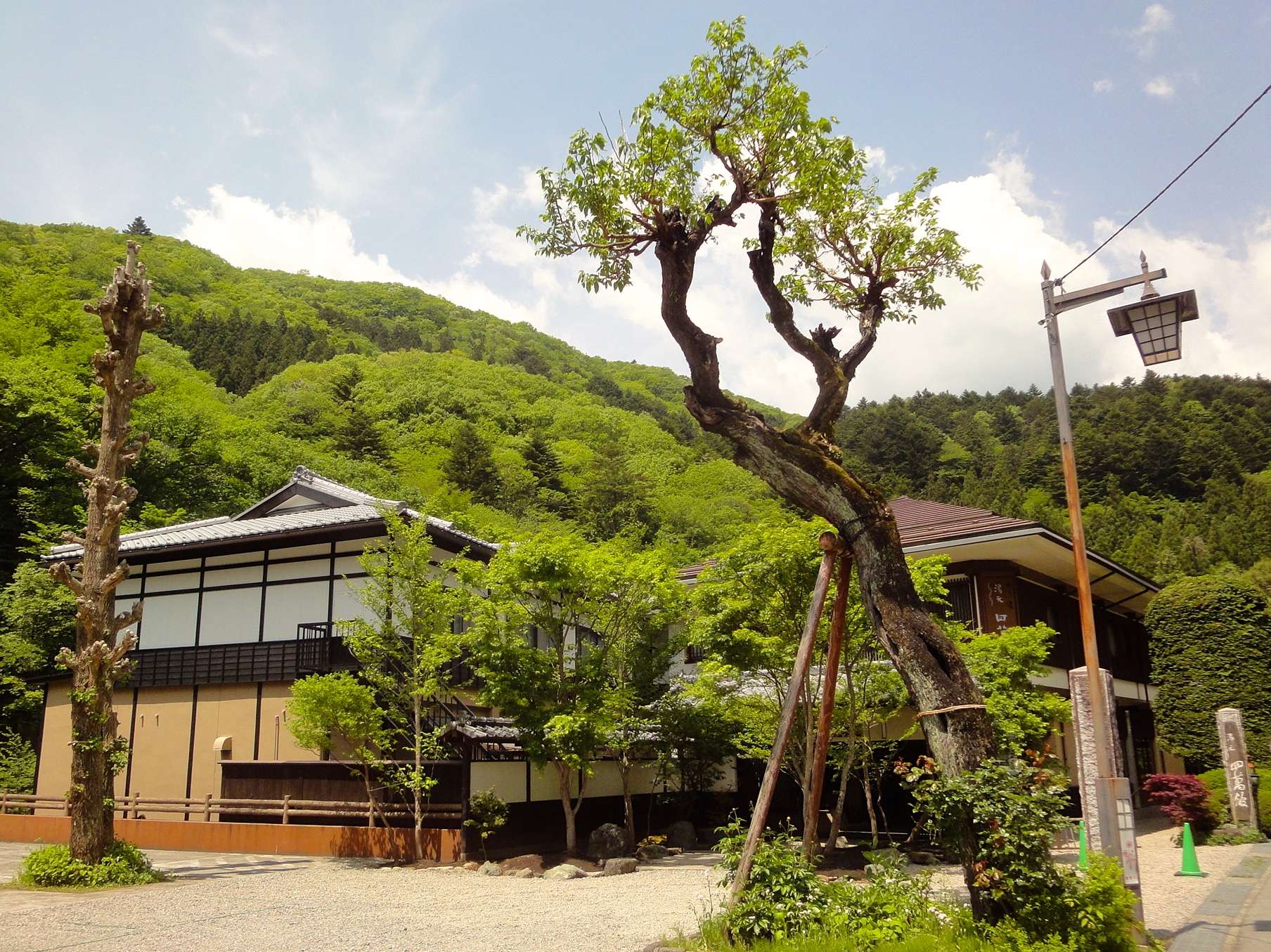 湯元四萬舘 新緑の外観と館銘石 © cdn.jalan.jp