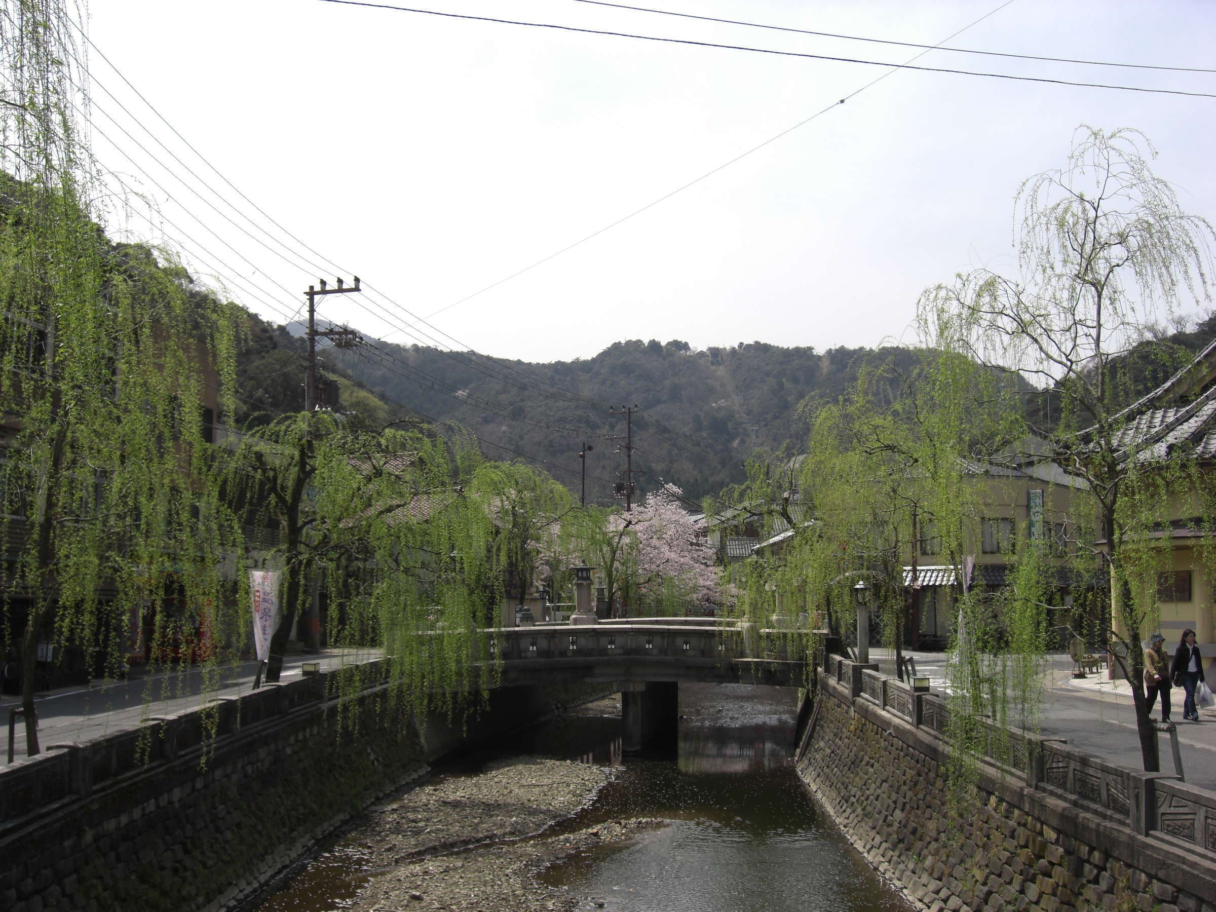 Willow-lined Kinosaki Onsen canal and stone bridge in spring near Matsuya