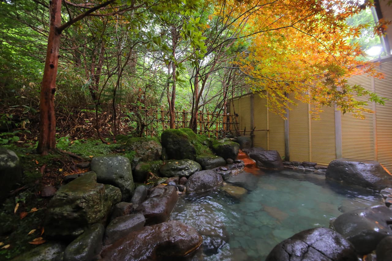 Open-air rotenburo with reddish iron-rich hot spring water framed by mossy rocks and autumn maple leaves at Sanseikan