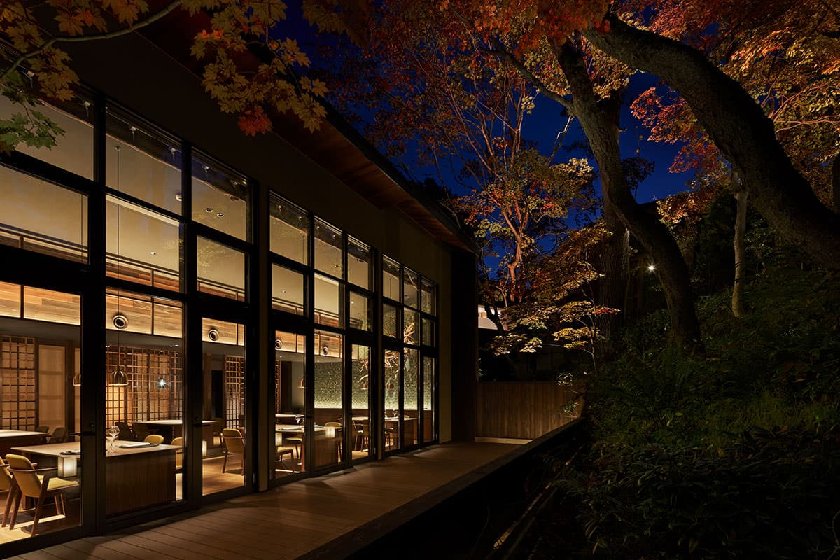 Illuminated wood-and-glass design ryokan exterior at dusk framed by autumn maple trees