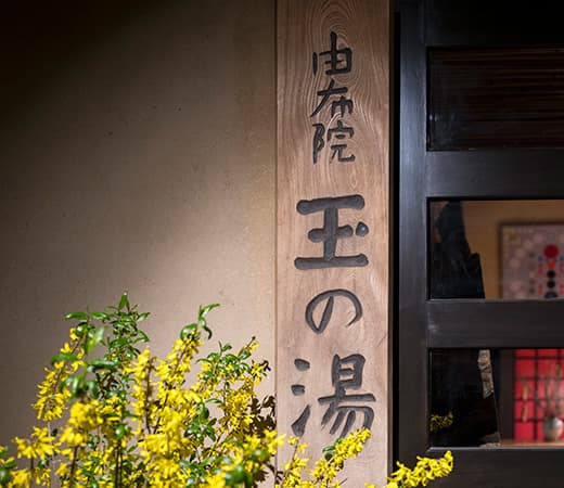 Yufuin Tamanoyu 10