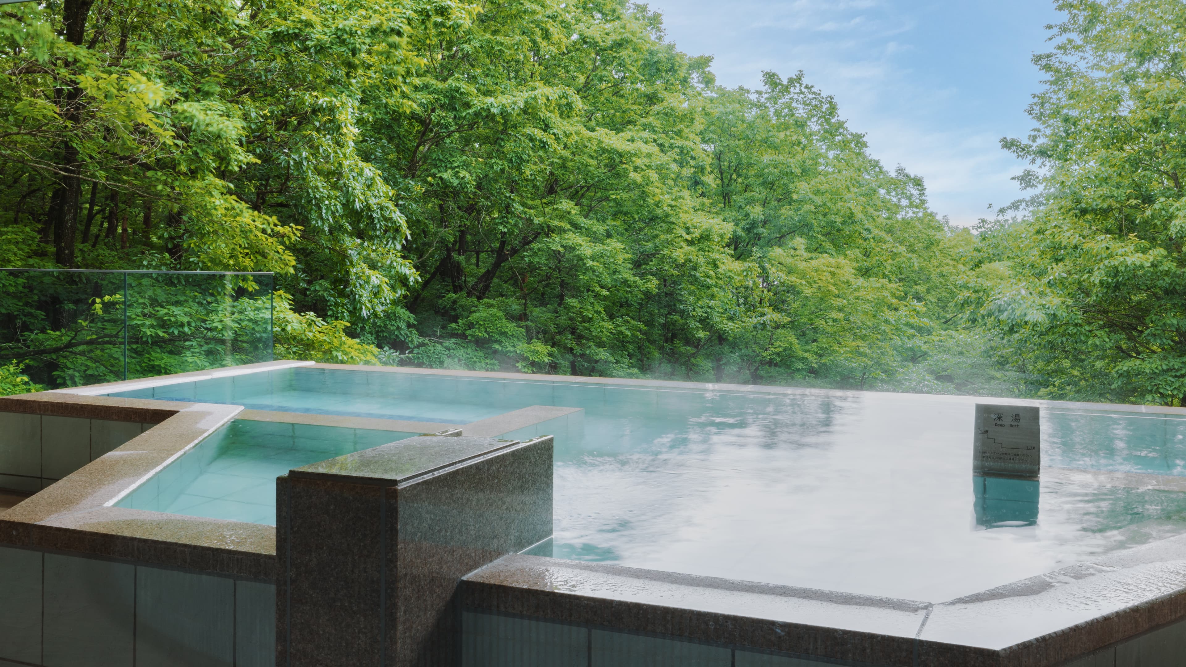Steaming open-air hot spring bath with forest views