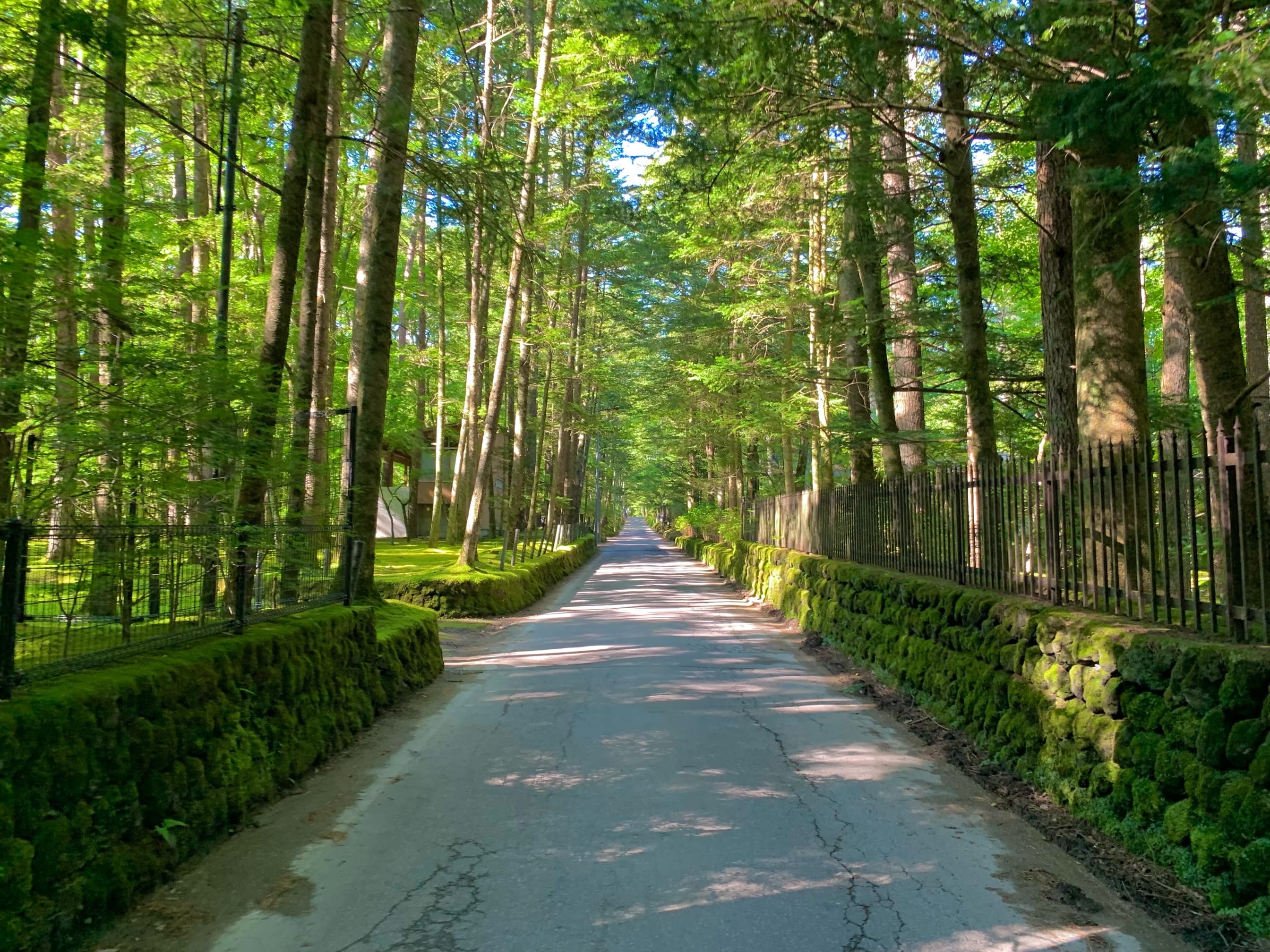 A street in Old Karuizawa — the Meiji-era summer resort district where HOSHINOYA Karuizawa and several of the highland ryokans in this guide are located.