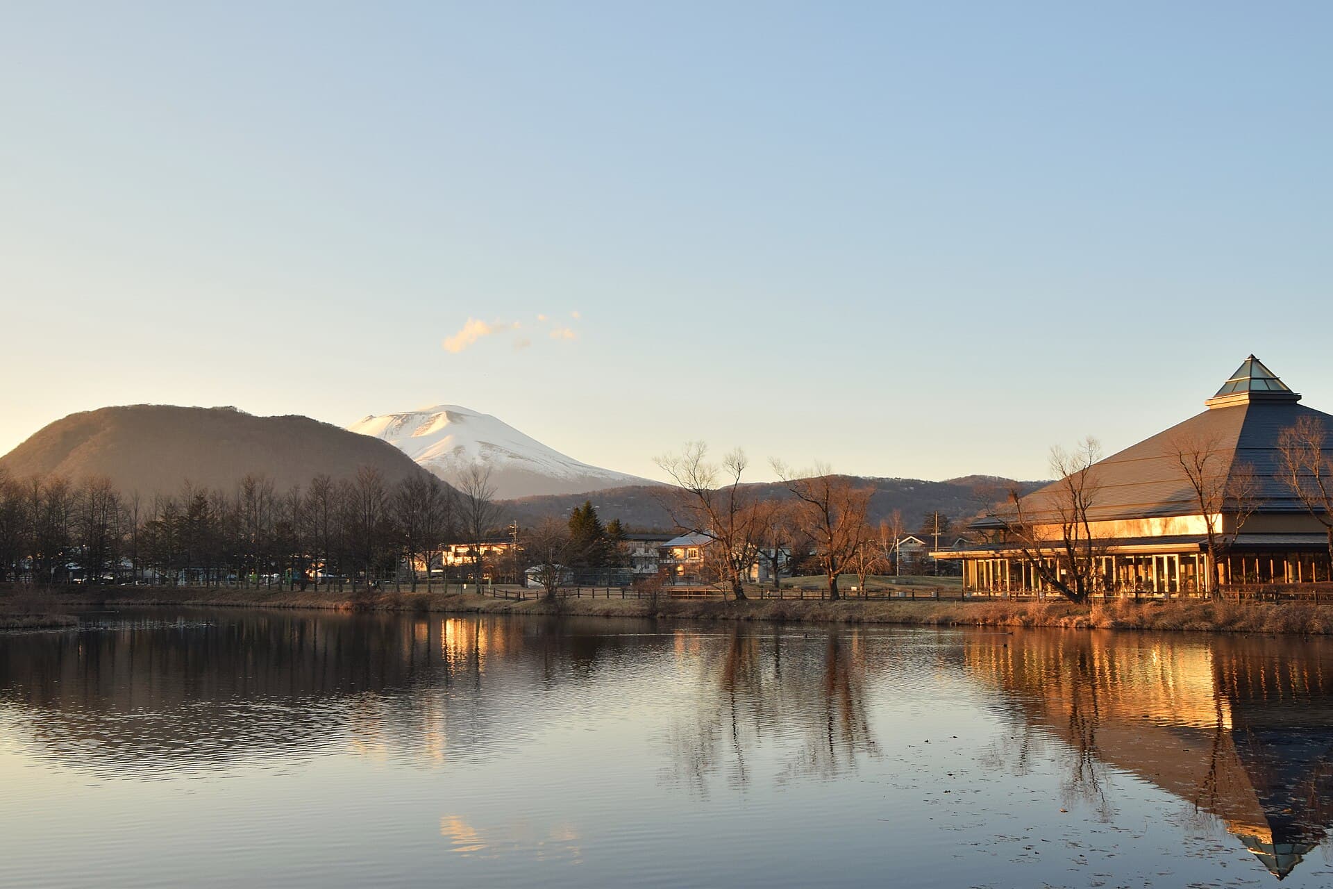 Mount Asama active volcano viewed from Karuizawa with autumn larch forest in foreground, Nagano Prefecture