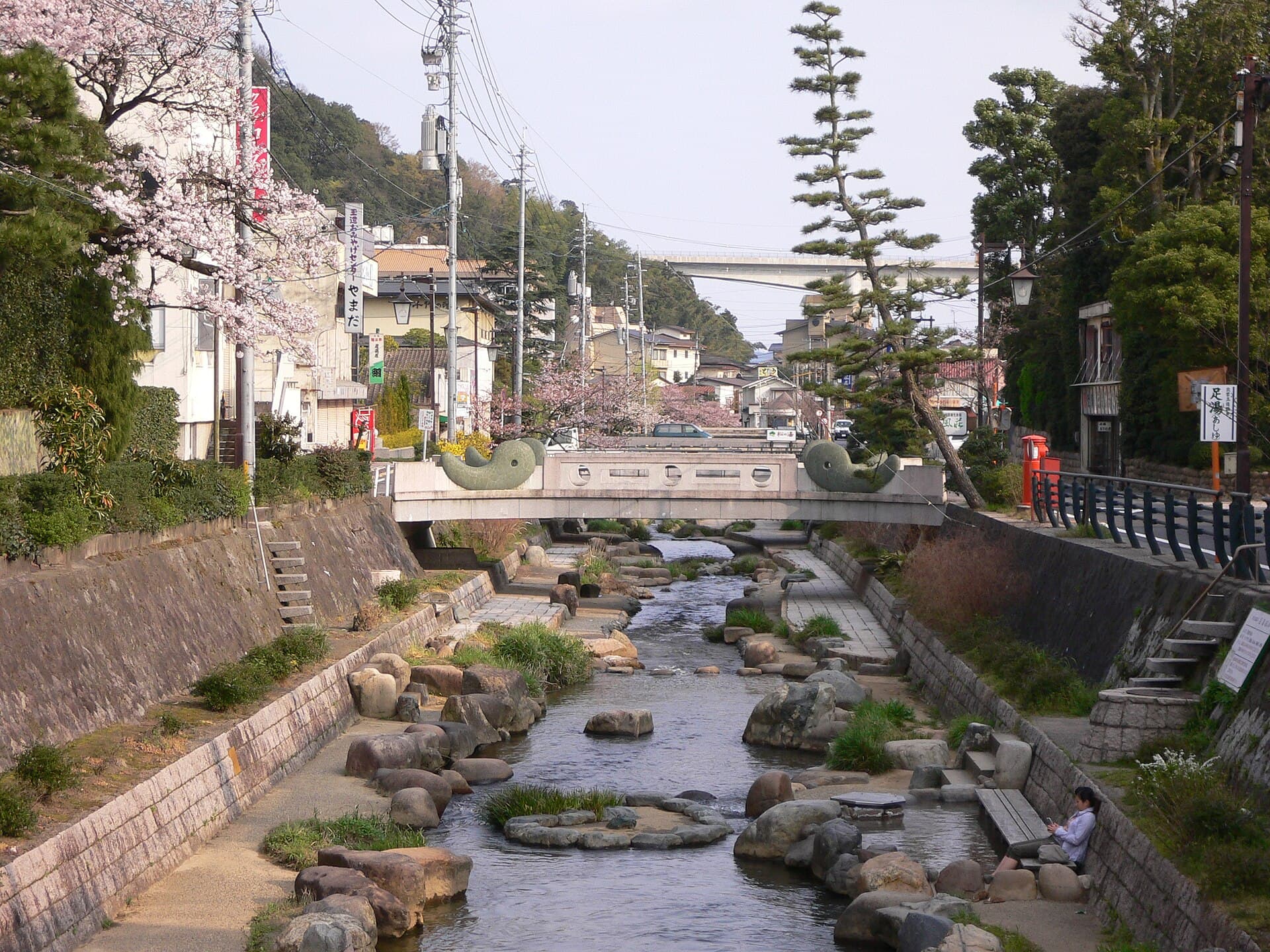 The Tamayu River flowing through Tamatsukuri Onsen town, lined with ryokans and cherry blossom trees.