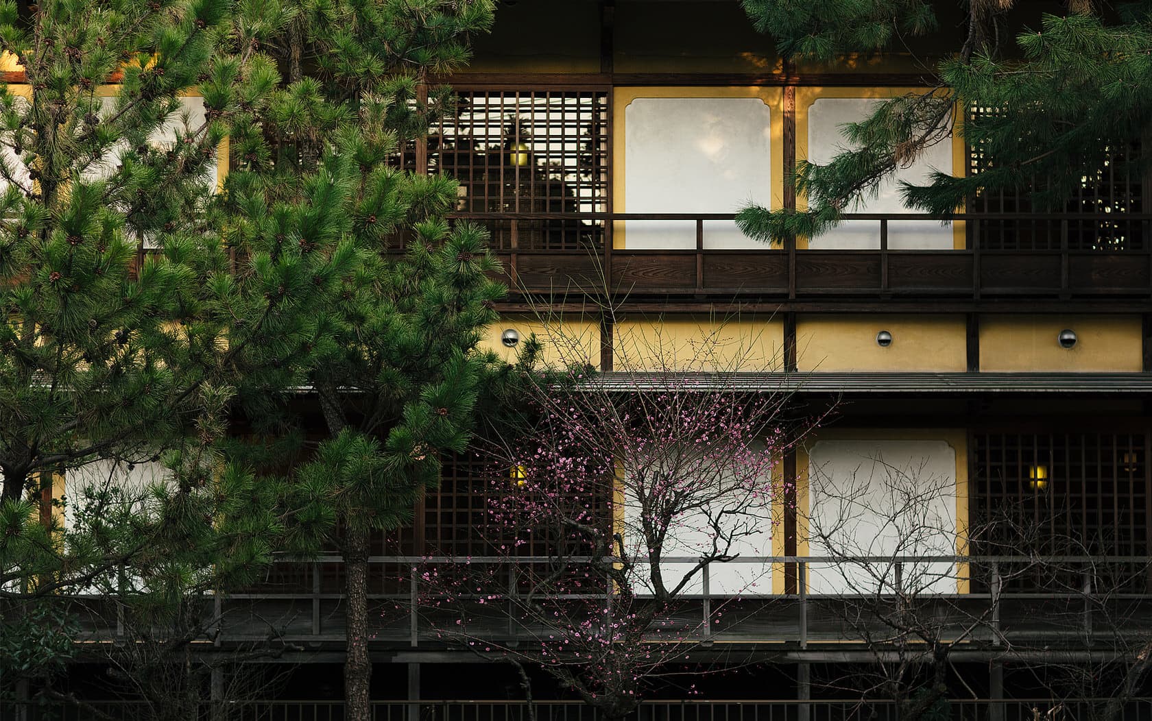 Daimaru Besso main building exterior at dusk with lit shoji-screened guest rooms, pine trees and a blossoming plum