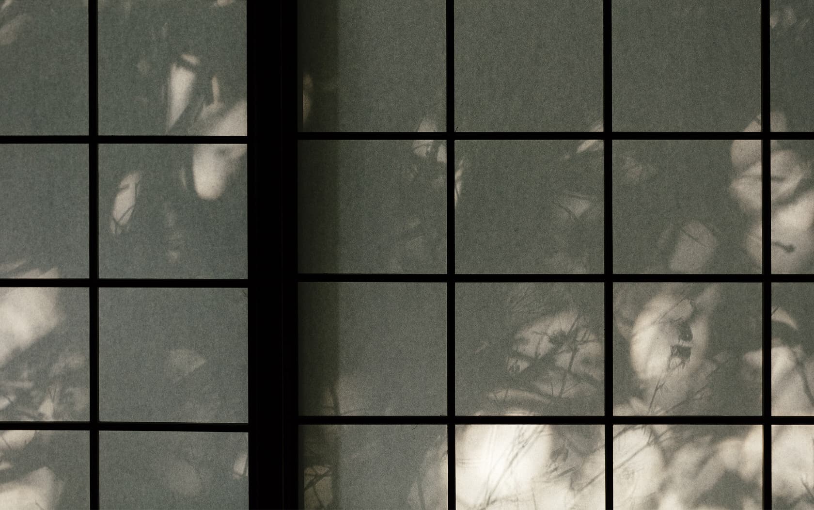 Shoji screen detail at Daimaru Besso with the soft shadows of garden foliage cast across the paper panels