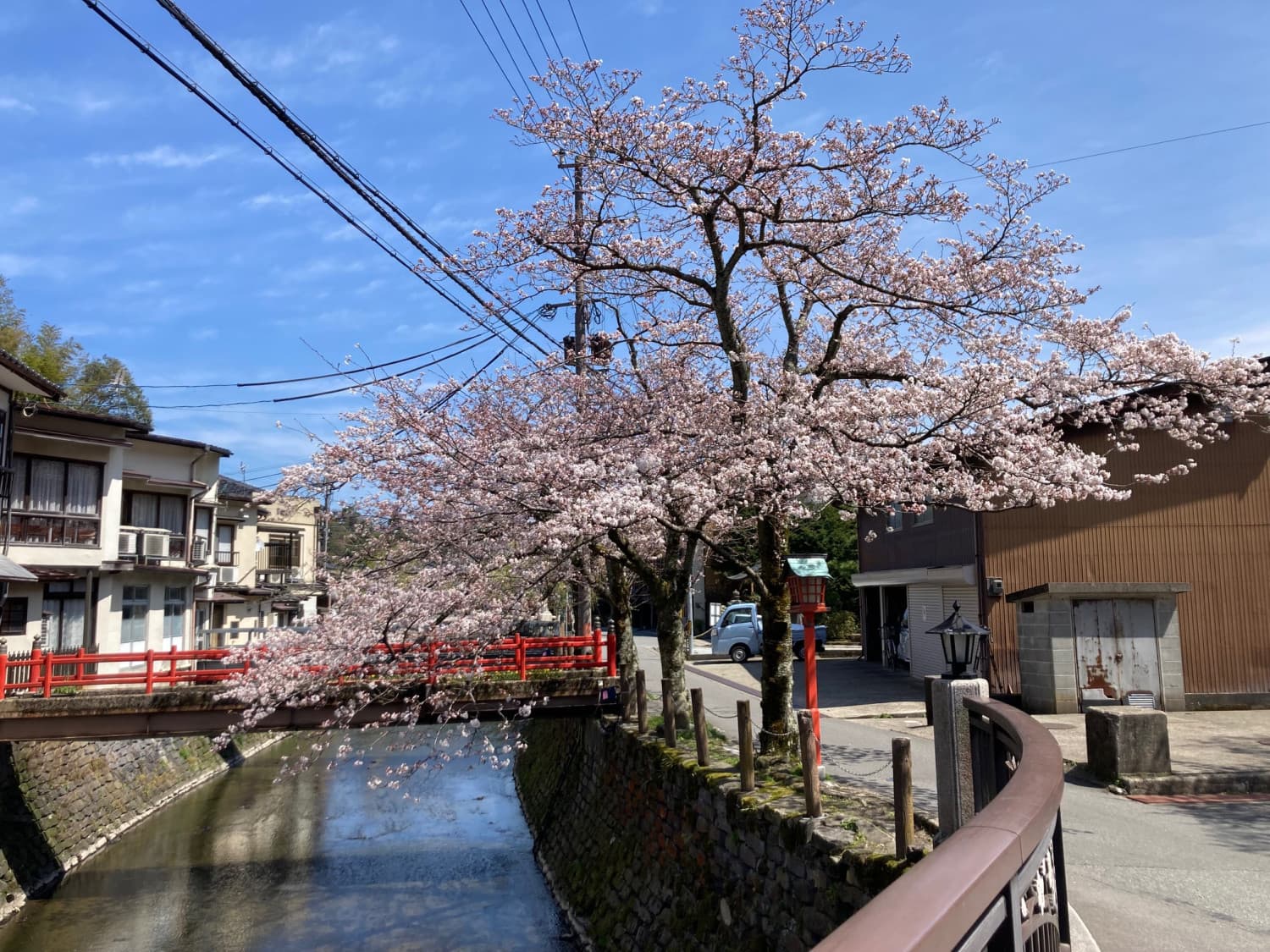 Willow-lined canal and red bridge framed by cherry blossoms in the heart of the onsen town, Kawaguchiya Honkan, Kinosaki Onsen