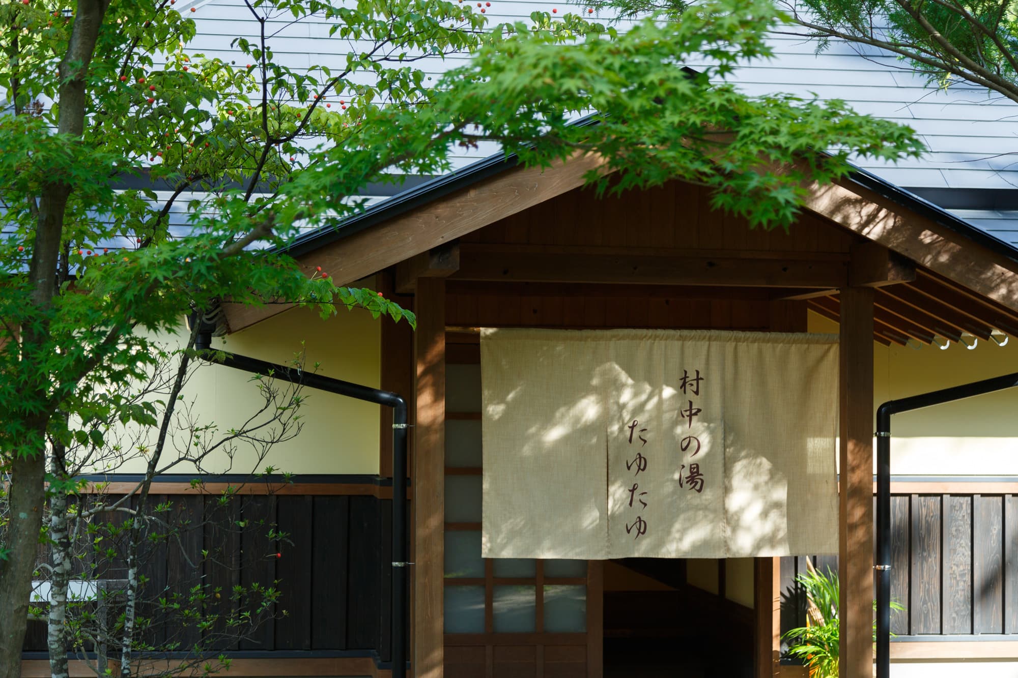 Wooden bathhouse entrance with a hanging noren curtain set among maple trees at Miyama Sansou