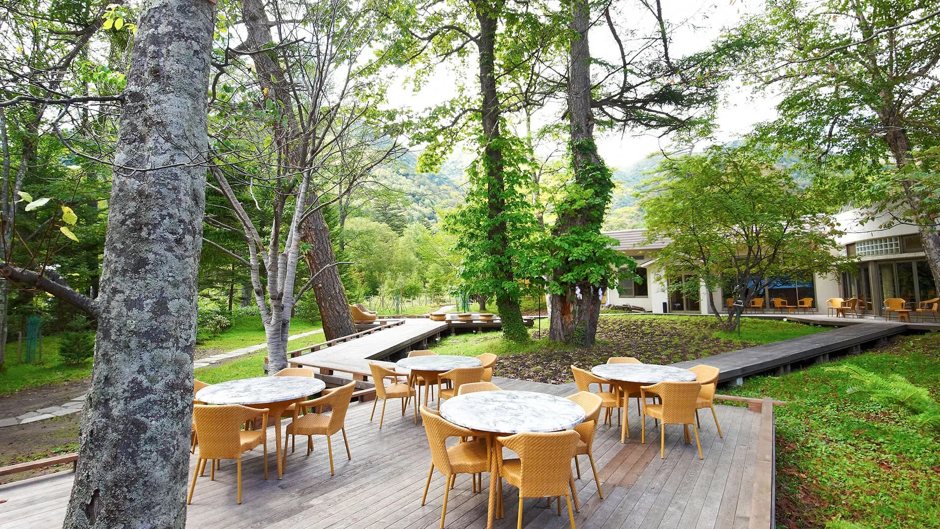 Wooden garden terrace lounge with cafe tables set among tall trees and Okunikko forest views at Oku Nikko Mori no Hotel