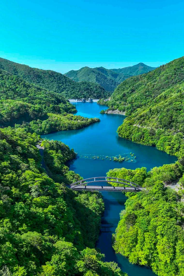 四万やまぐち館 奥四万湖と新緑の渓谷風景 © yamaguchikan.co.jp