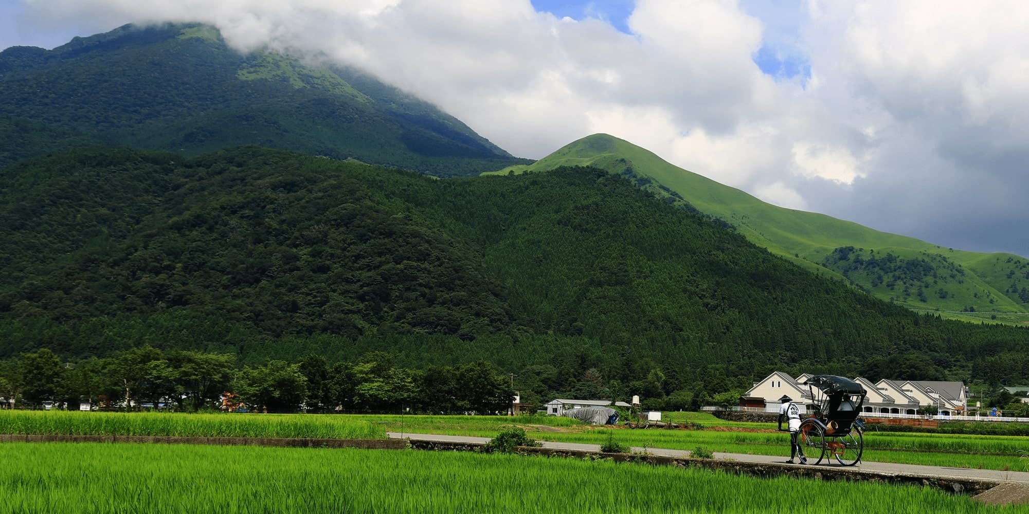 Summer view of Mt. Yufu rising above green rice paddies near Oyado Den Rikyu in Yufuin